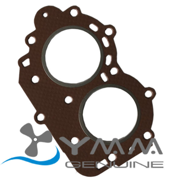 Прокладка головки цилиндров Yamaha 6E7-11181-00-YM