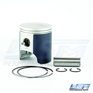 Поршень WSM 010-840PK Kawasaki 900 STD