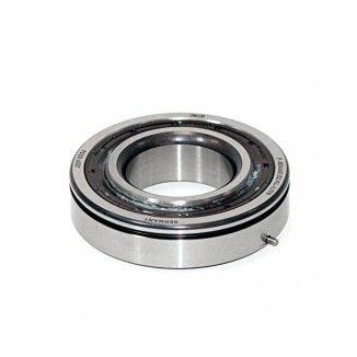 Подшипник BRP 420832632